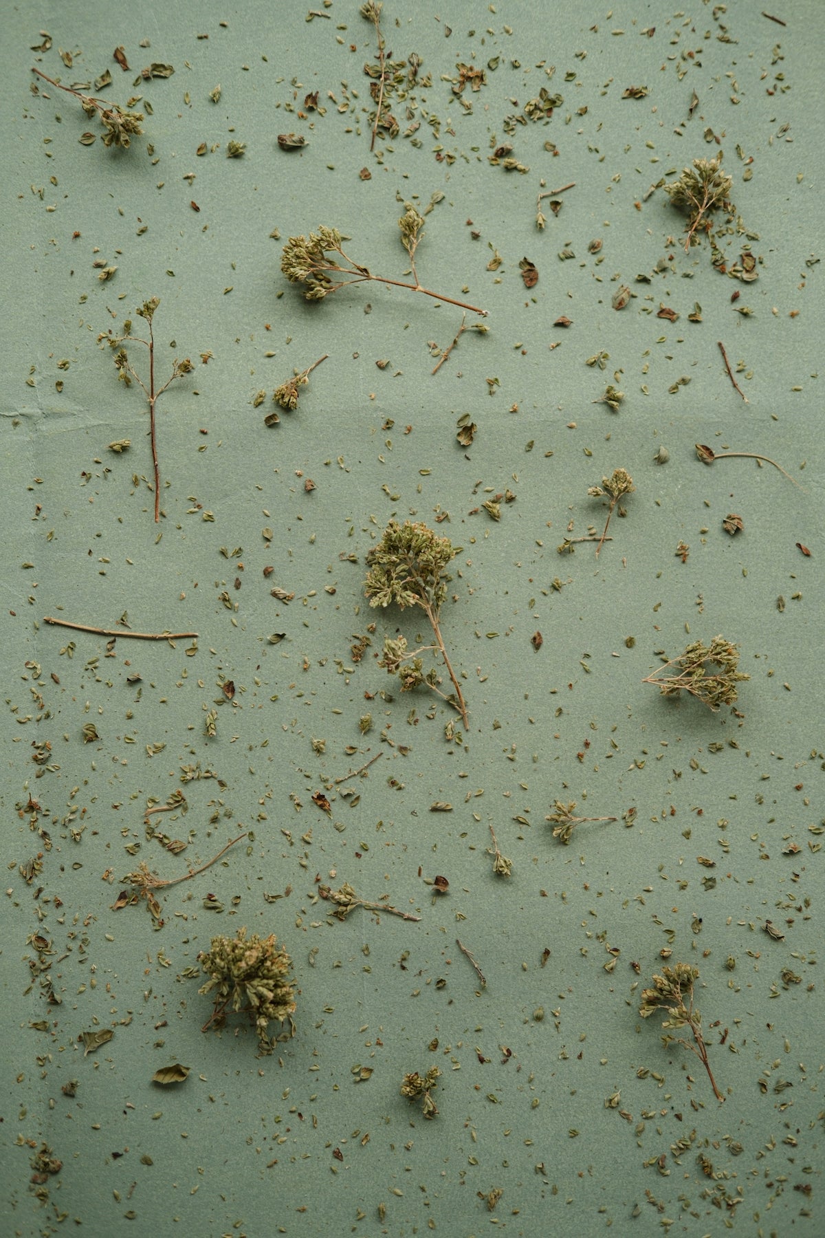 A close up of a bunch of dirt on a surface