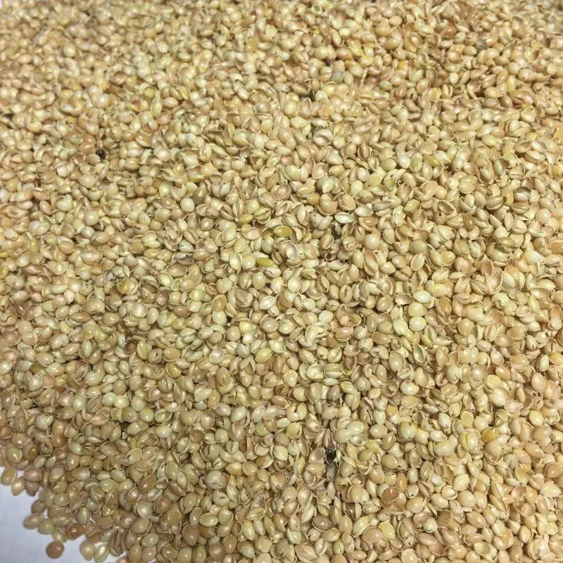 Bio Kuschelkissen Frosch mit Hirsespelz Füllung - PAT & PATTY