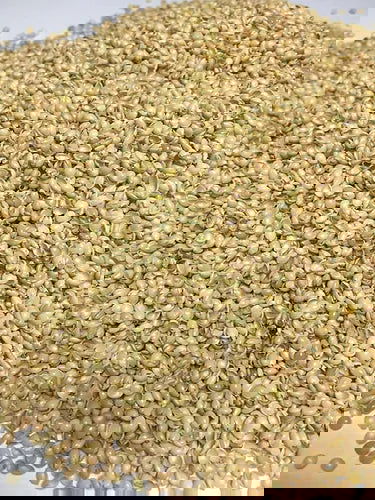 Bio Kuschelkissen Hund mit Hirsespelz Füllung- PAT & PATTY