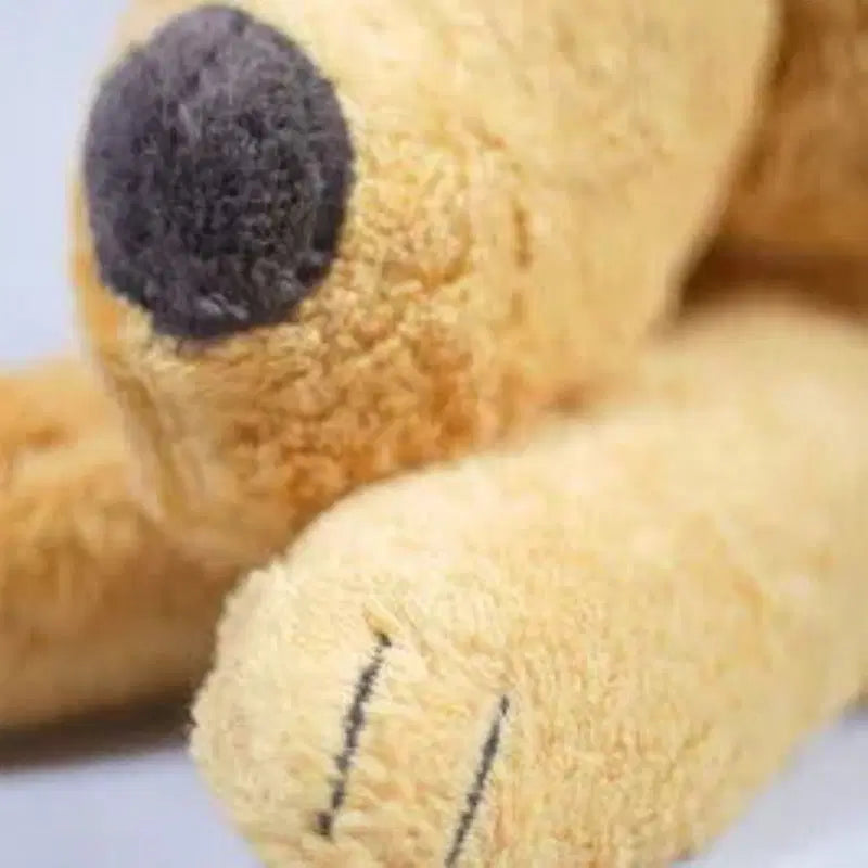 Bio Kuschelkissen Lӧwe kbA - PAT & PATTY