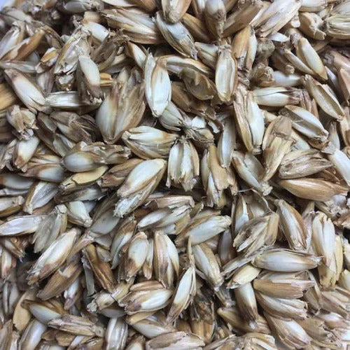 Bio Kuschelkissen Wildschwein mit Dinkelspelz Füllung - PAT & PATTY