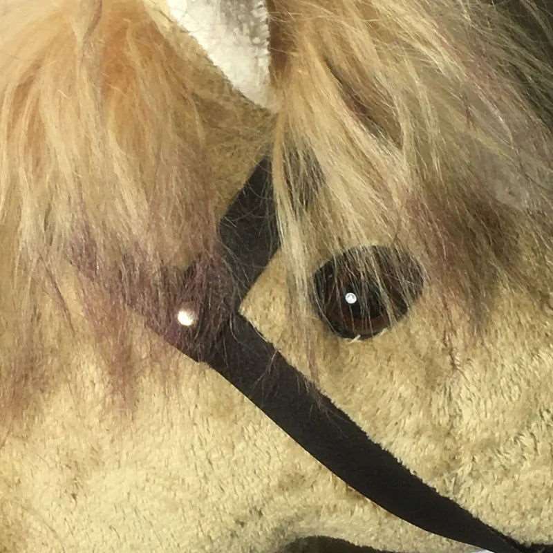 Bio Steckenpferd Blondi - PAT & PATTY braune Augen