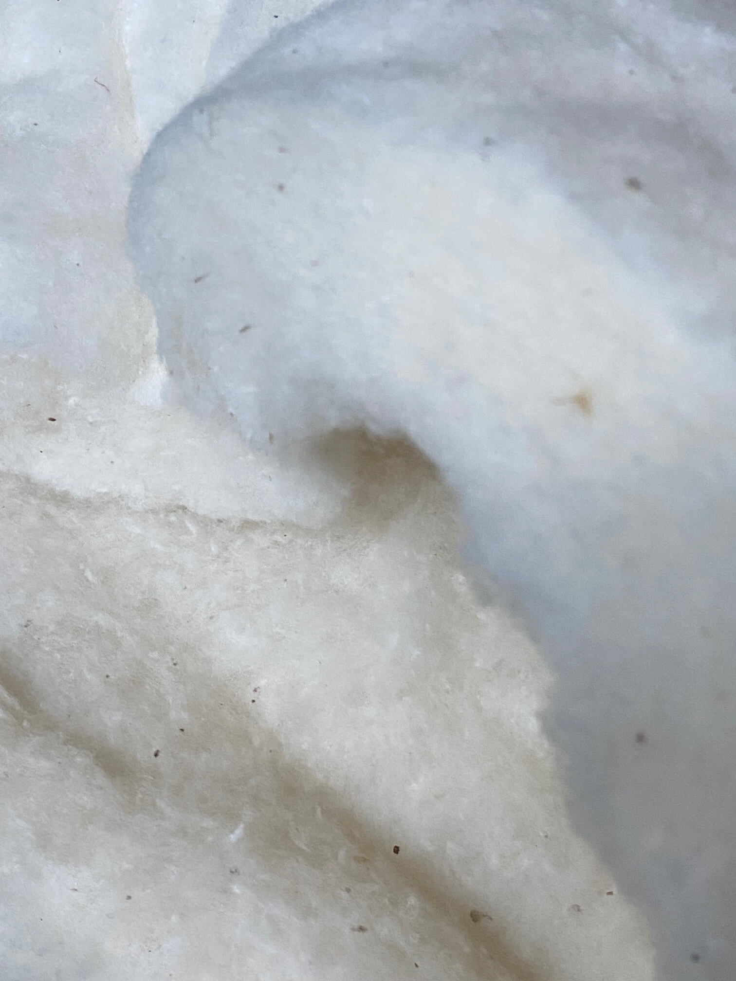 Bio Baumwoll-Vlies kbA / GOTS zertifiziert 330g/qm