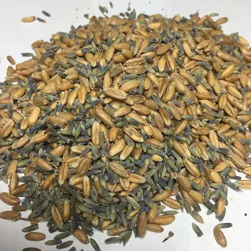 Mit Lavendel gefülltes Eulen-Kissen aus Bio-Baumwolle von PAT & PATTY