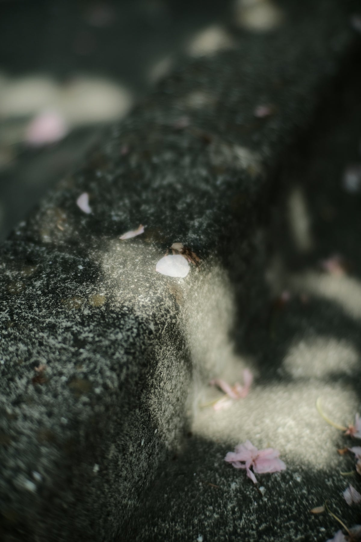 the shadow of a bench on the ground
