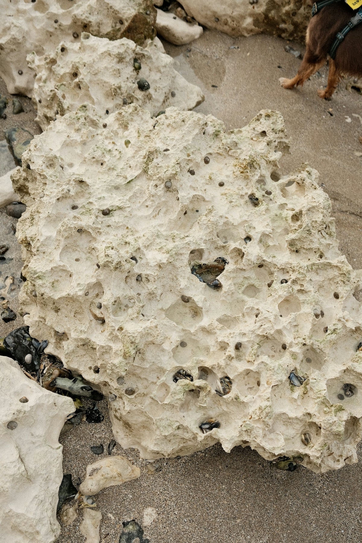 Porous rock formation on a sandy beach.