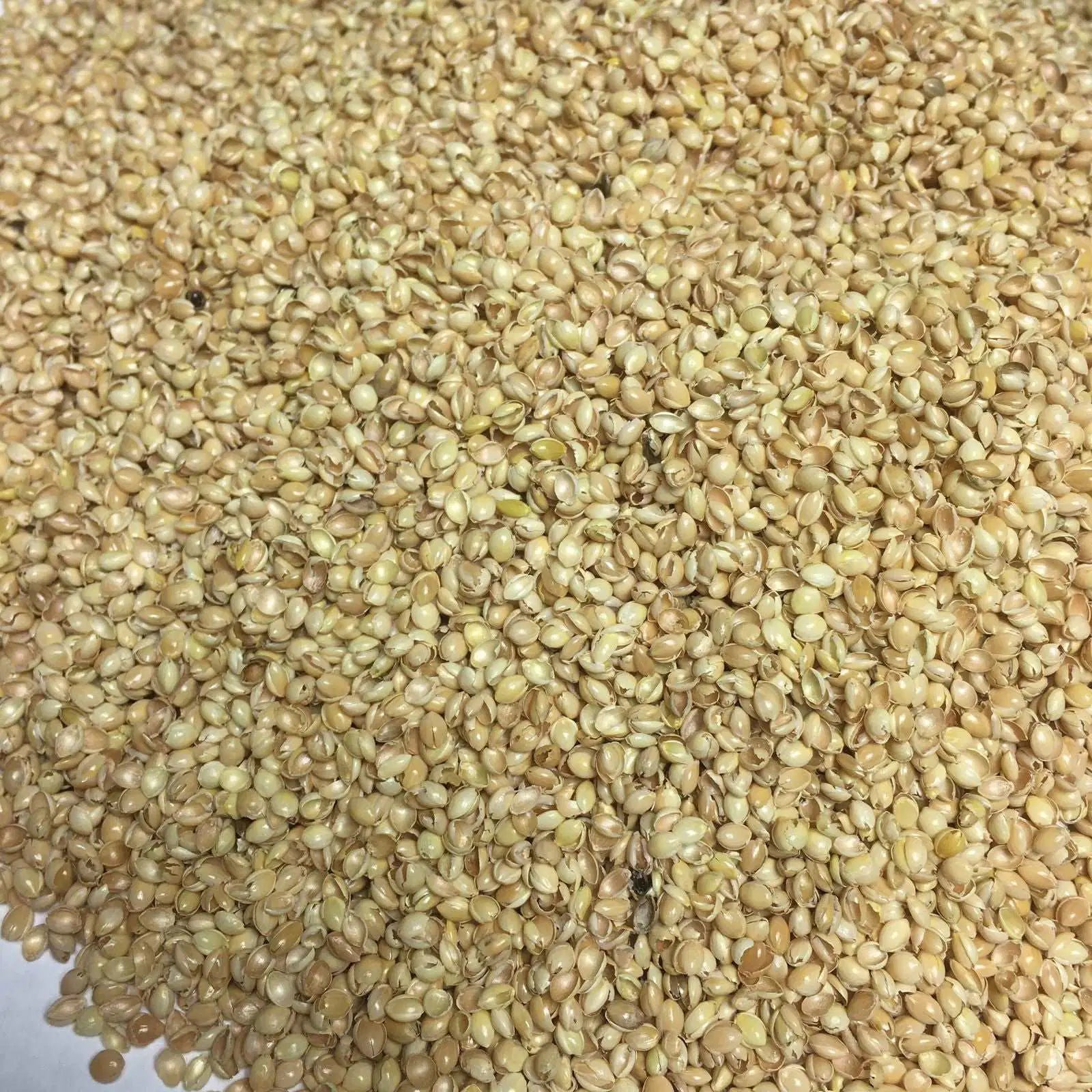 Handgemachtes Bio-Kuschelkissen in Fuchsform mit Hirsespelz-Füllung – weich, geräuscharm und ideal für Babys von PAT & PATTY