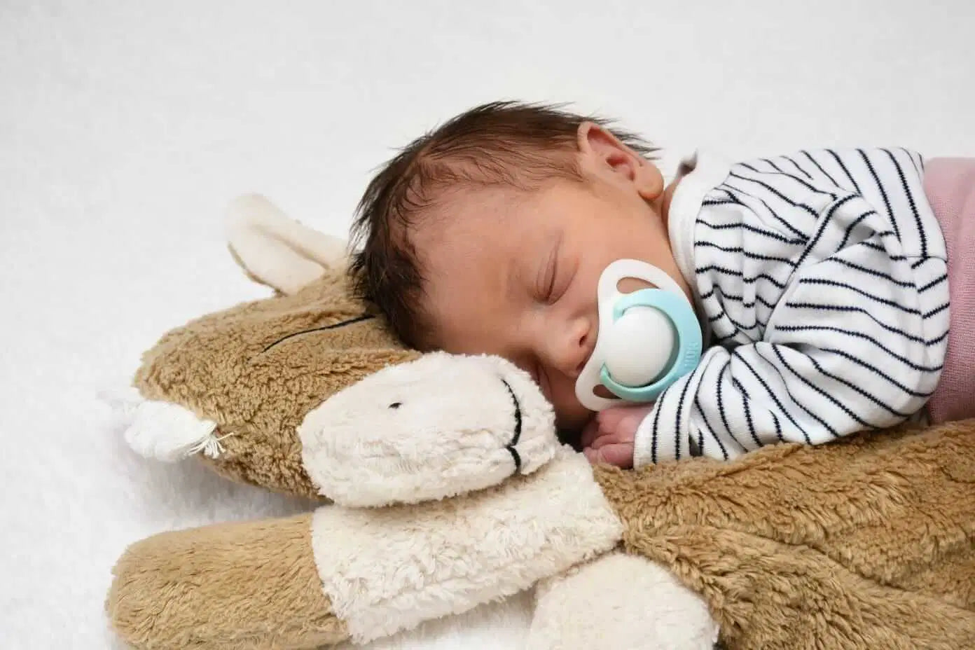 Bio Kuschelkissen Pferd mit ein Baby - PAT & PATTY