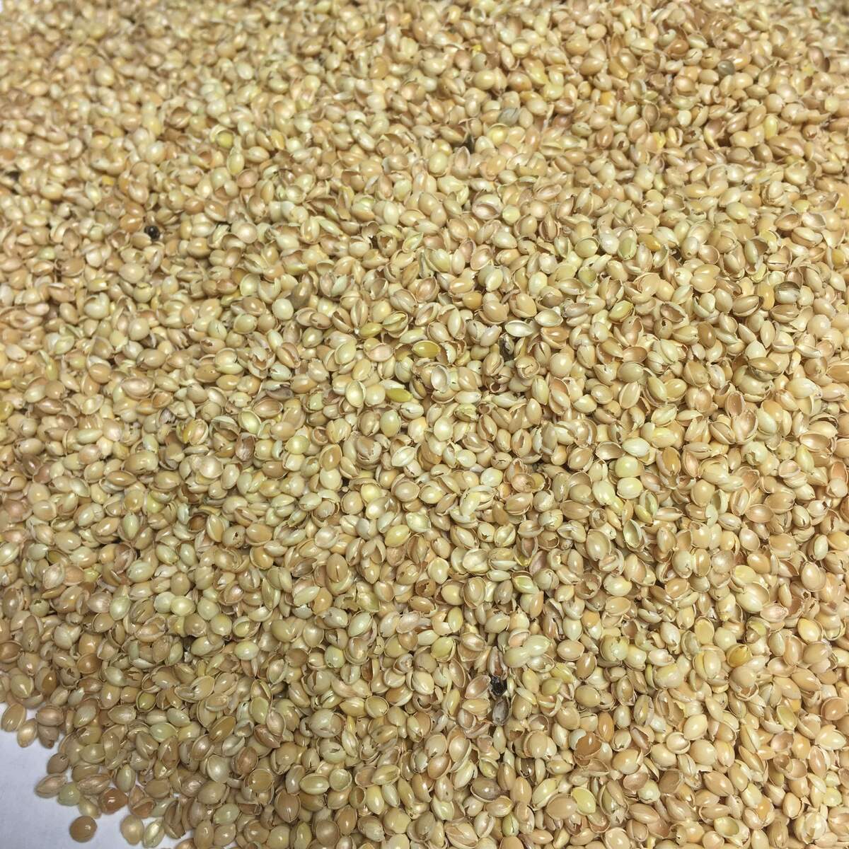 Ersatz-Inlett für Bio Kuschelkissen – Bio Hirsespelz