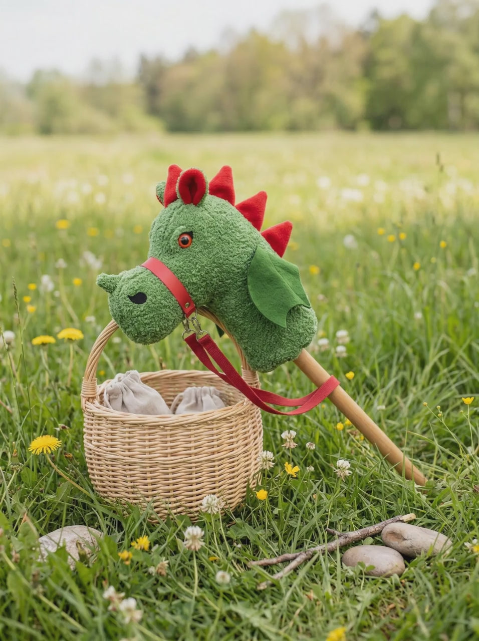 Show video & image examples